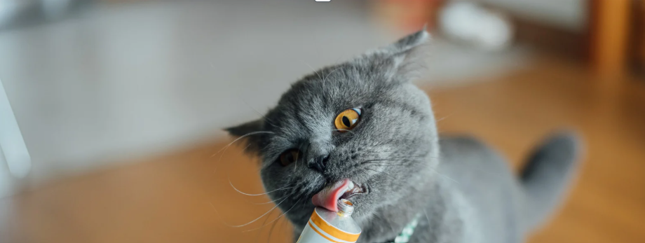 Malt Ürünleri